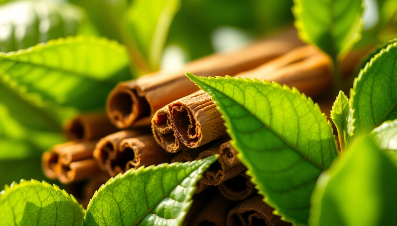 Enhance your culinary creations with Cinnamon Bark surrounded by fresh green leaves.